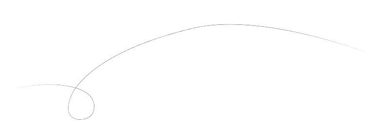 vector-7-e1715672618668.png